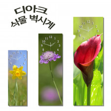 식물 벽시계 디아크 인테리어